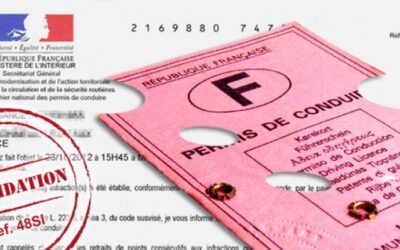 Quelle est la différence entre suspension, annulation et invalidation du permis ?